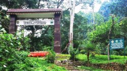 Kepala Desa Uning Pune Jadi Terdakwa Kasus Perambahan di TNGL