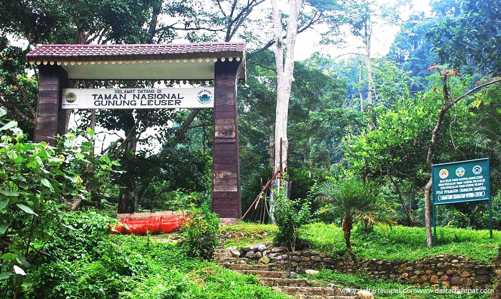 Kepala Desa Uning Pune Jadi Terdakwa Kasus Perambahan di TNGL