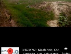16.276 Hektare Sawah Rusak Berat di Aceh Menunggu Perbaikan