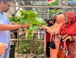 Siswa SLB Negeri Abdya Panen Sawi dan Pakcoy Hasil Budidaya Bioflok