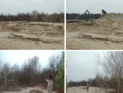 Tertimbun Pasir Hasil Pengerukan, 4 Hektar Mangrove di Pusong Kapal Mati