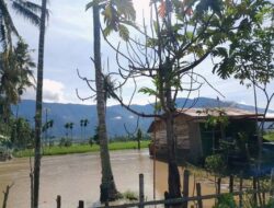 Tanggul Jebol, Banjir Rendam Permukiman dan Rusak 50 Hektare Sawah