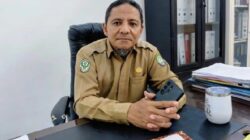 Kasus DBD di Abdya Capai 100 Pasien, Tertinggi pada Agustus