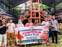 Tiga Kelompok Peternak di Abdya Terima 1.800 Ayam Petelur