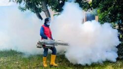 Cegah DBD, Dinkes Abdya Fogging Sejumlah Gampong