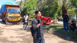 demo utu