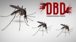 Ilustrasi DBD