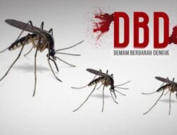 Dalam 4 Bulan, Sudah Puluhan Pasien DBD Dirawat di RSUD-TP
