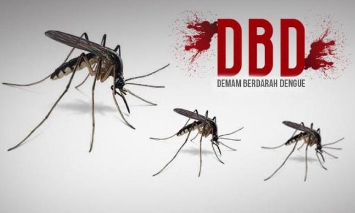 Ilustrasi DBD