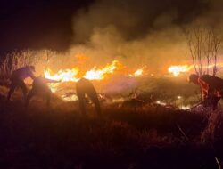 Karhutla Bromo Meluas, 4 Jalur Wisata Ditutup