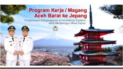 magang