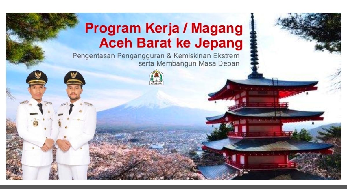 magang