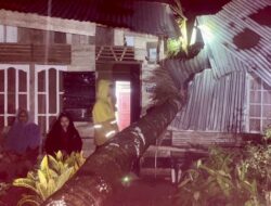 Lhokseumawe Dilanda Angin Kencang, Satu Rumah Rusak Tertimpa Pohon Tumbang