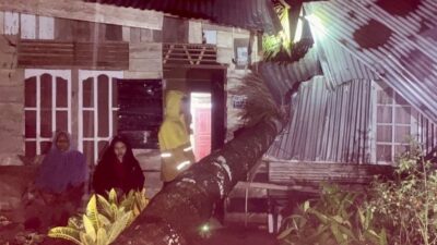 Rumah tertimpa pohon