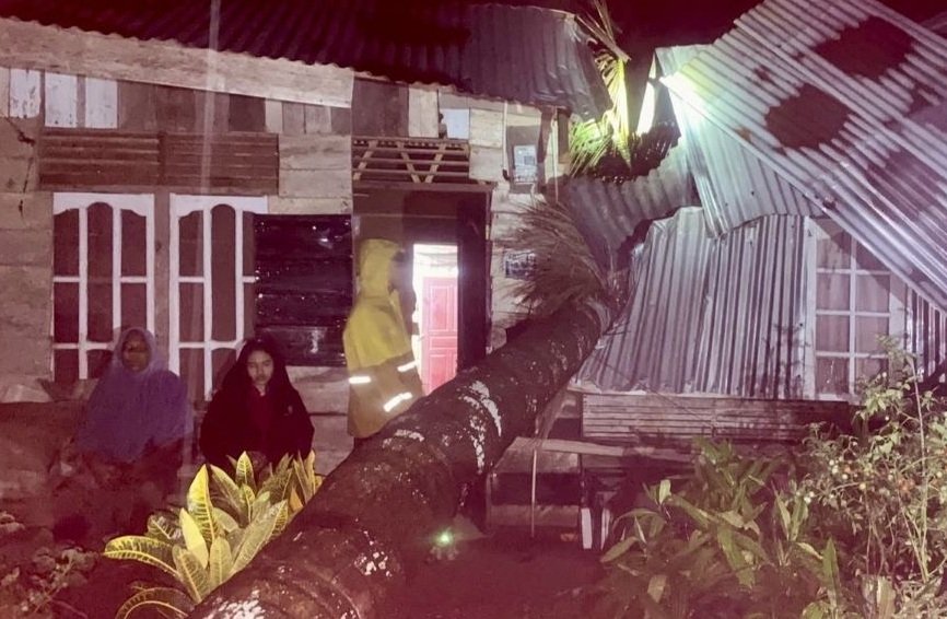 Rumah tertimpa pohon