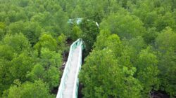Satu Tersangka Kasus Korupsi Jembatan Hutan Mangrove Langsa Terancam DPO