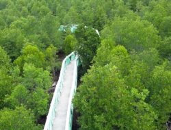 Satu Tersangka Kasus Korupsi Jembatan Hutan Mangrove Langsa Terancam DPO