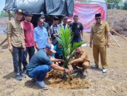 Pemkab Aceh Jaya Realisasi 60 Hektare Lahan sawit untuk eks Kombatan GAM