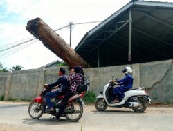Warga Cemas, Balok 7 Meter Menjulur di Atas Badan Jalan Desa Air Tenang