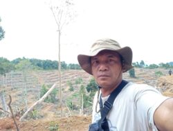 110 Hektare Mangrove Dibuka, EKOBA Desak Pemerintah Perkuat Pengawasan