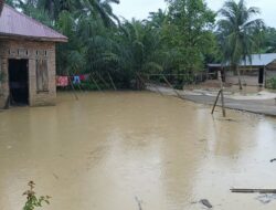 Banjir Meluas ke 8 Kecamatan di Aceh Tamiang, Ratusan KK Mengungsi