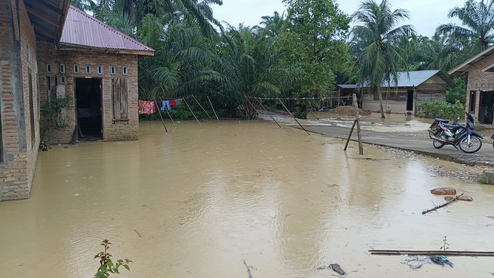 Banjir Meluas ke 8 Kecamatan di Aceh Tamiang, Ratusan KK Mengungsi