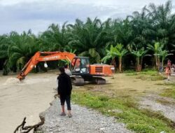 Banjir Rendam 75 Hektar Lahan di Aceh Tenggara, 1.387 Jiwa Terdampak