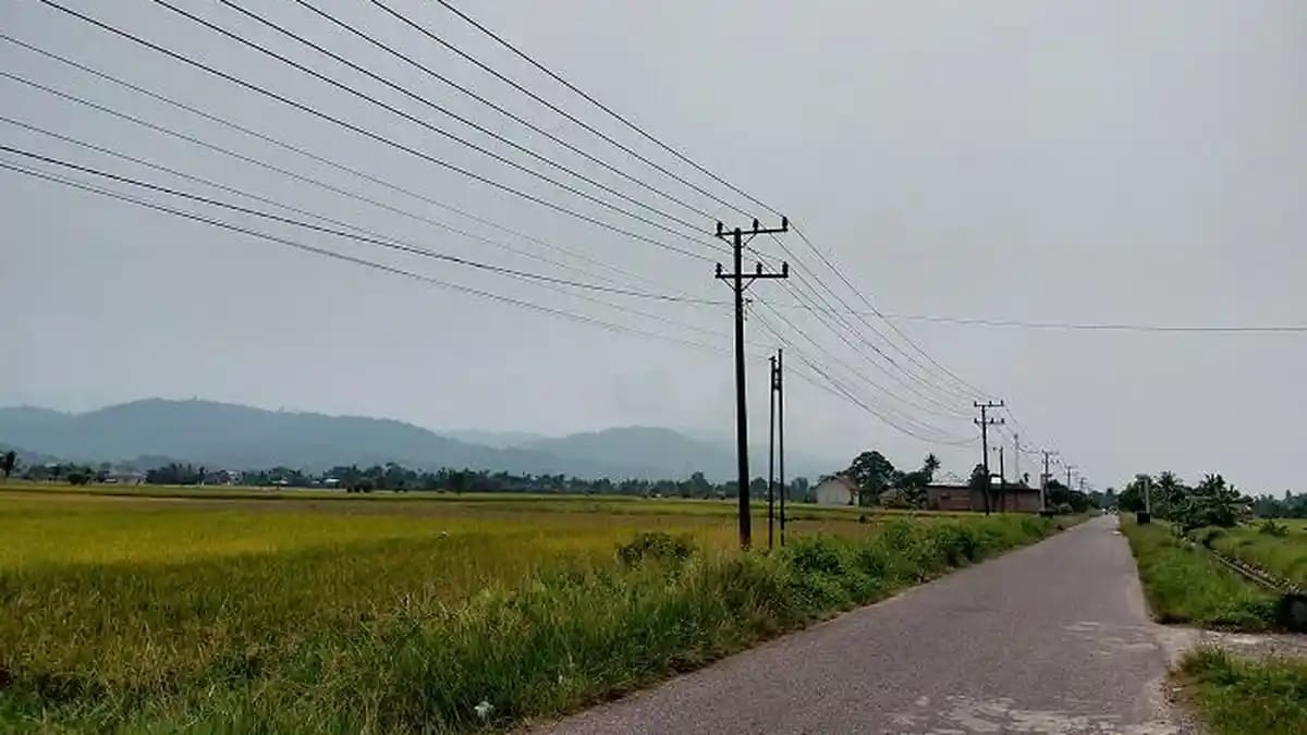 Kabut Asap Karhutla Selimuti Aceh Barat Daya, Warga Diimbau Waspada