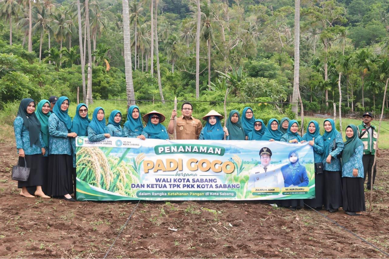Sabang Andalkan Padi Gogo di Tengah Keterbatasan Lahan Persawahan