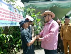 Pemkab Bener Meriah Salurkan 10,2 Juta Bibit Kopi Arabika Gayo