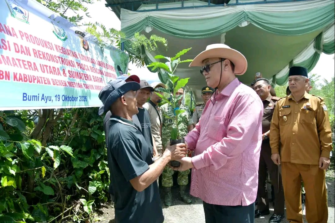 Pemkab Bener Meriah Salurkan 10,2 Juta Bibit Kopi Arabika Gayo