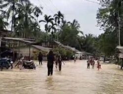 Dua Kecamatan di Aceh Timur Dilanda Banjir, Puluhan Keluarga Mengungsi